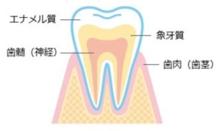 歯の黄ばみの原因