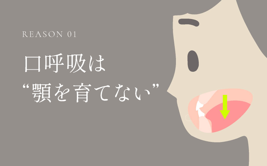 口呼吸は“顎を育てない”